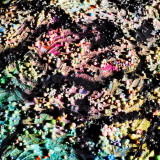 'SPLOSIVE I-IV