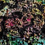 'SPLOSIVE I-IV